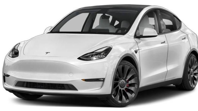 TESLA MODEL Y 2021 5YJYGDEE0MF079641 image